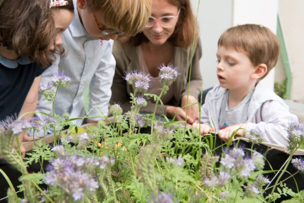 Jardinage dans la cour de l'école