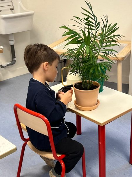 Activité en classe