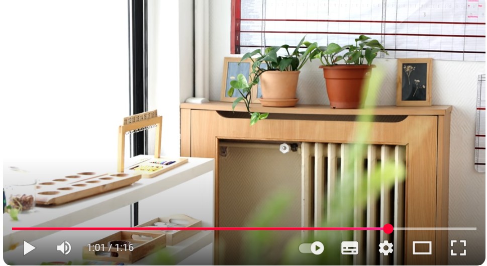 vignette de la vidéo