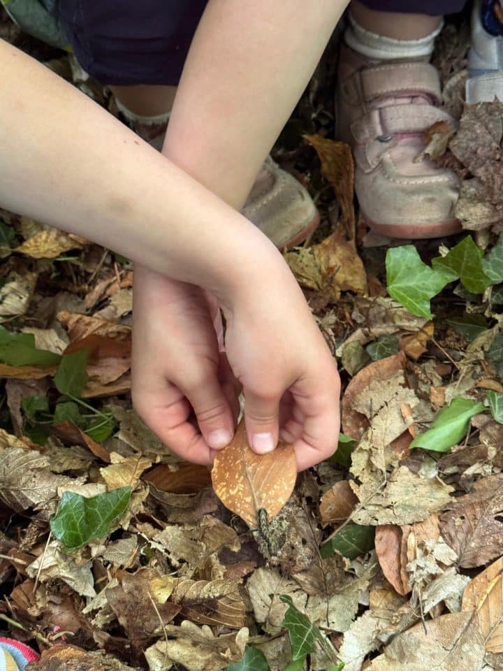 Séance de motricité en extérieur